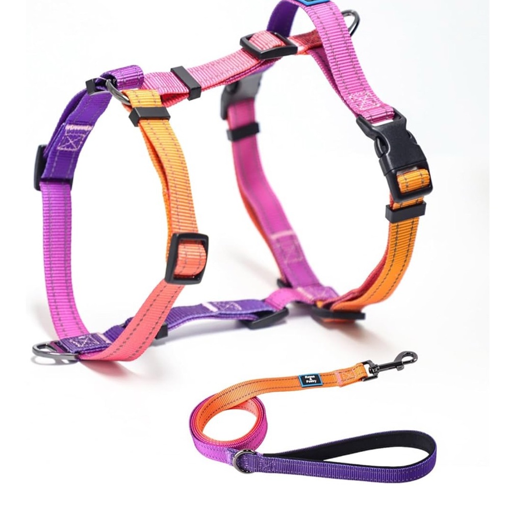 Dog Harness, Collar and Leash Set